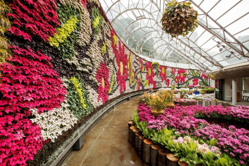 The Calyx Sydney Botanic Garden flower room